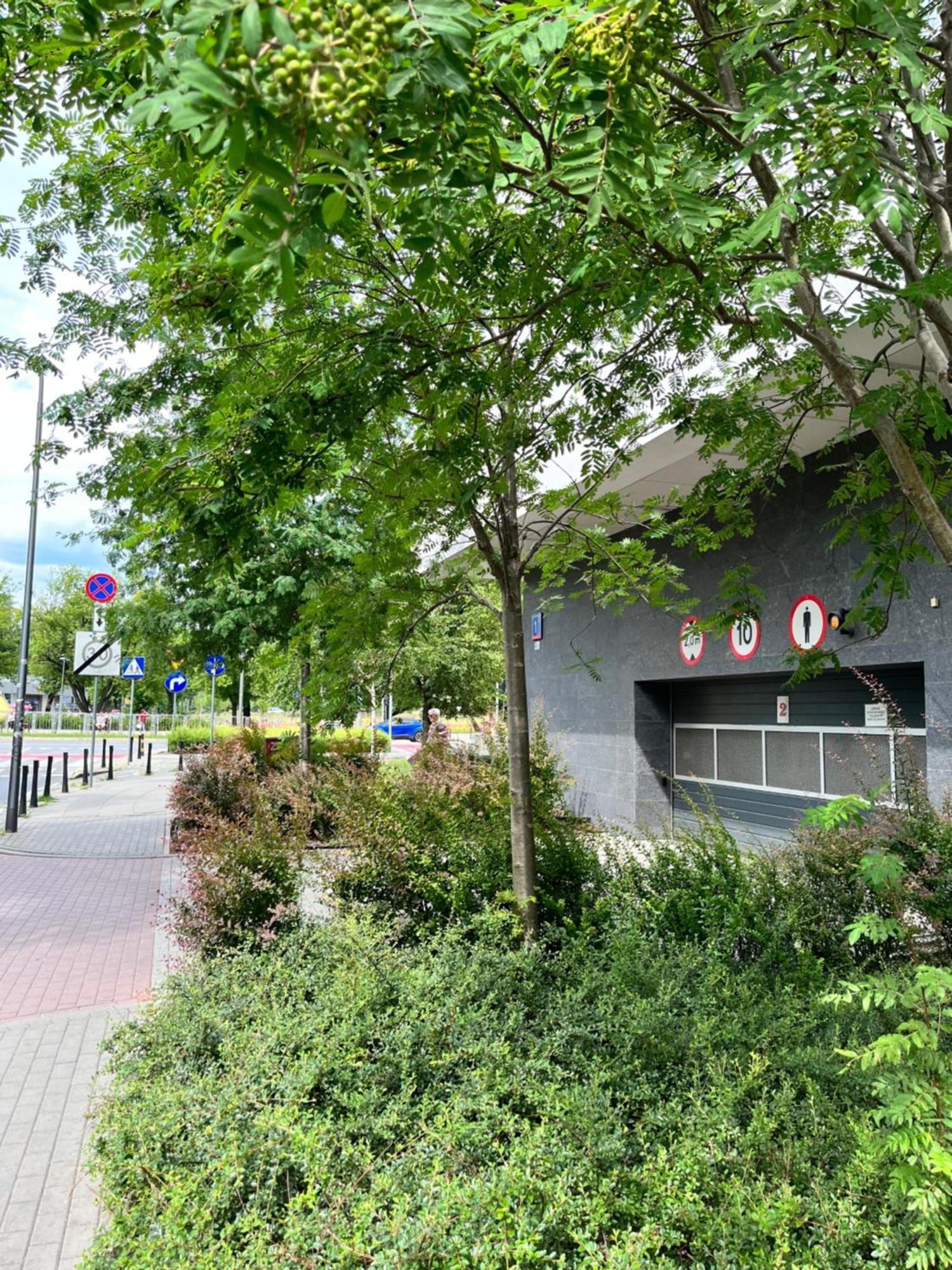 Apartment Metro Slodowiec Free Parking Варшава Экстерьер фото
